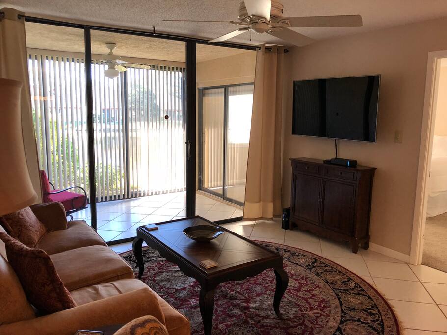 55" Flat Panel TV
