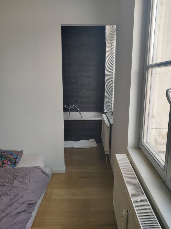 Brussels Holiday Rentals & Homes Brussels, Belgium Airbnb