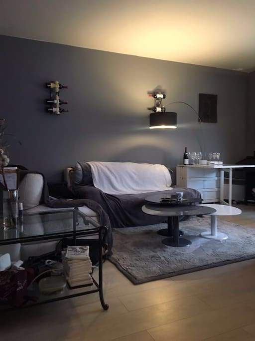 Le séjour, spacieux, avec téléviseur et box, wifi, Apple TV.