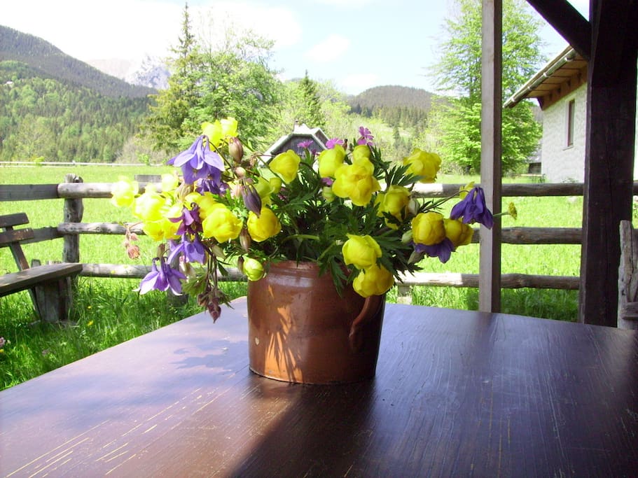 A springtime bouquet
