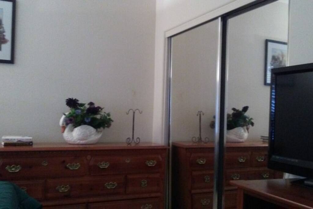 Ample dresser and closet space