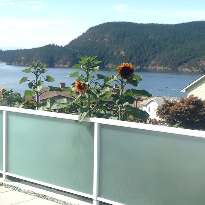 View of Burrows Bay in the Puget Sound.