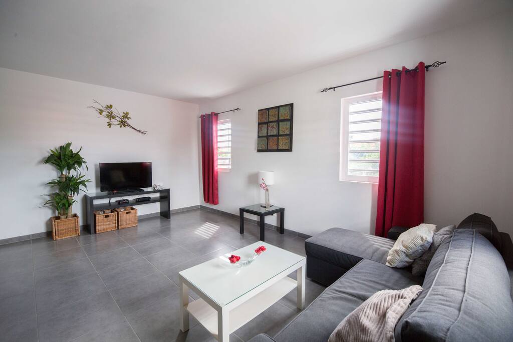 Comfortable L-shaped sofa(bed) and flat screen TV