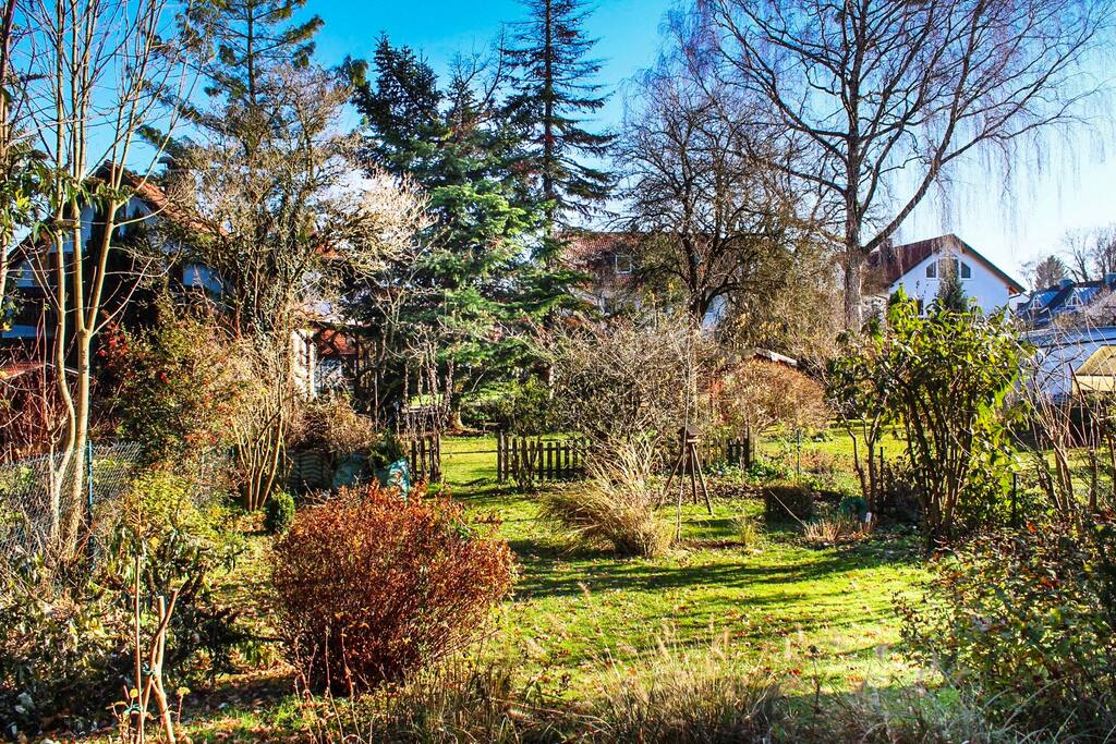 Garden in autum