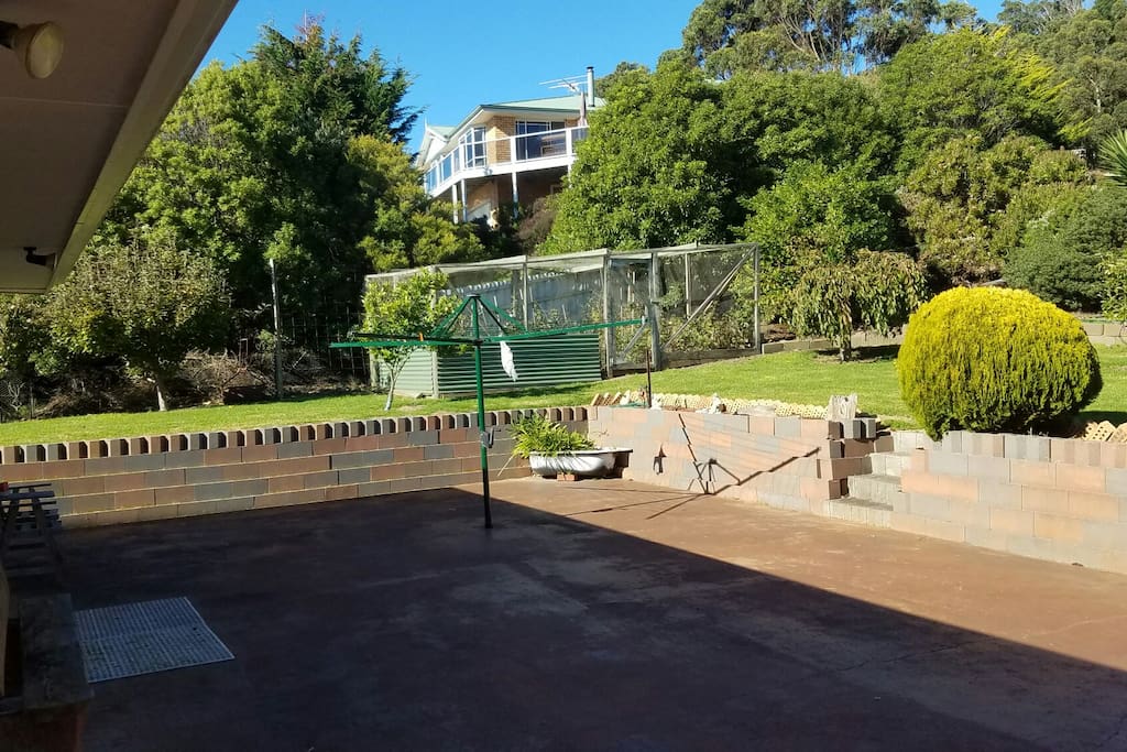 backyard