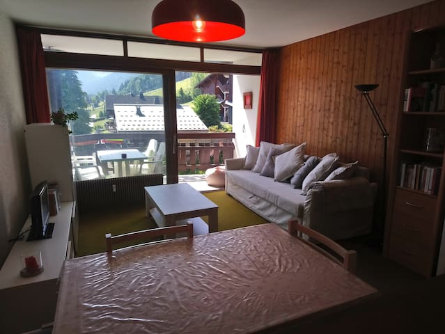 Studio pied des pistes * The Pleney *