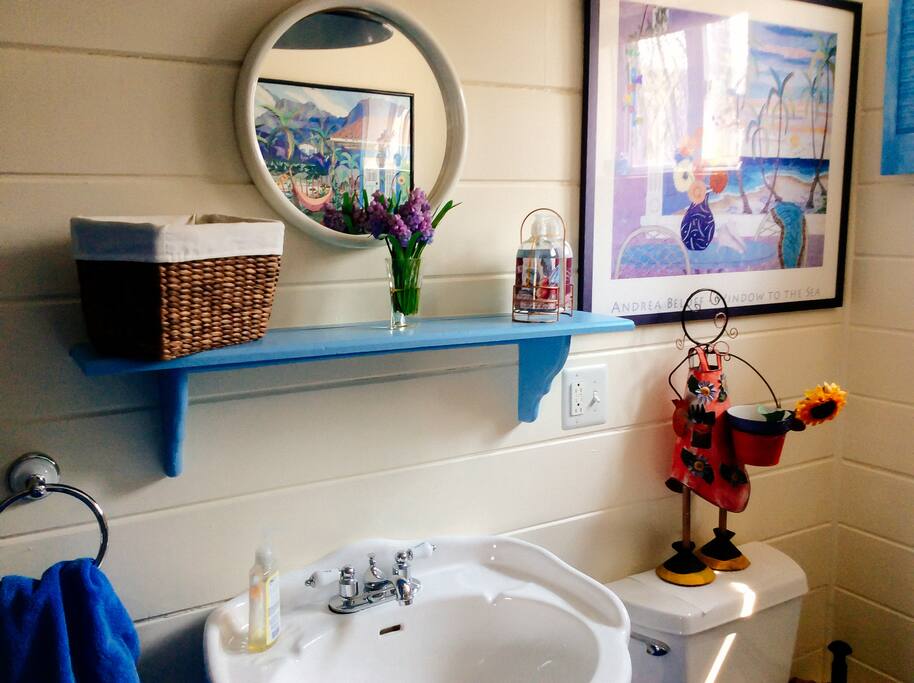 Downstairs bathroom in Summertime 4