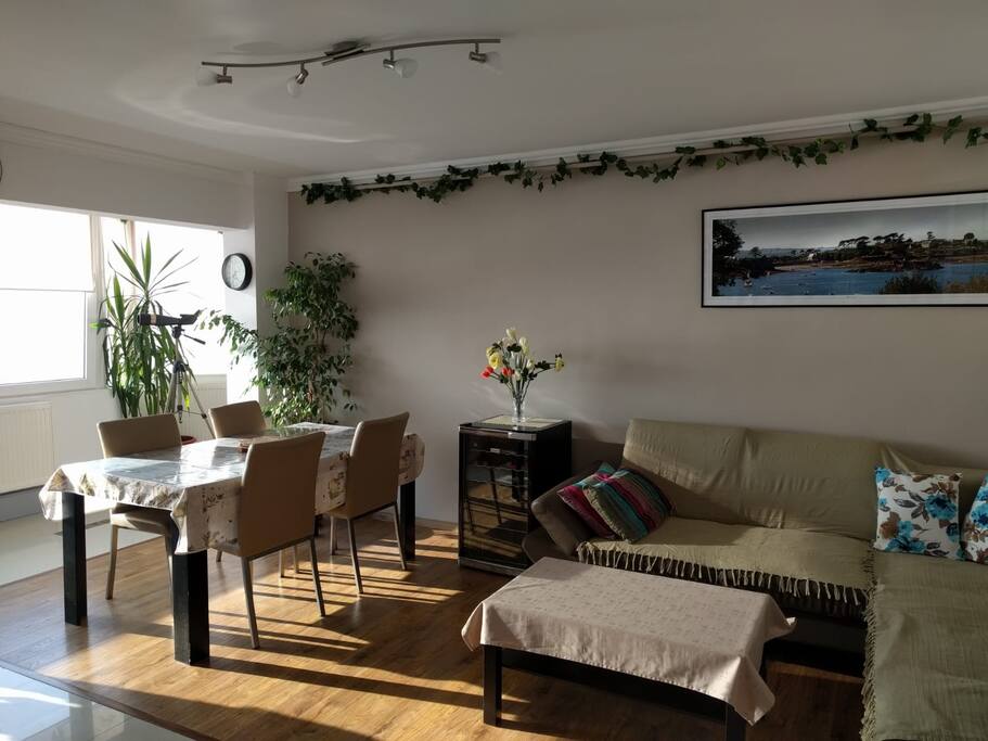 Living- couch& dining table
