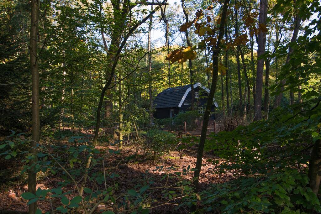 huizen te huur putten boshuis krekeltje huizen te huur in putten gelderland huizen te huur putten boshuis krekeltje huizen te huur in putten gelderland