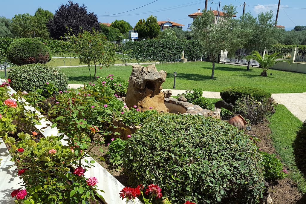 FRONT YARD