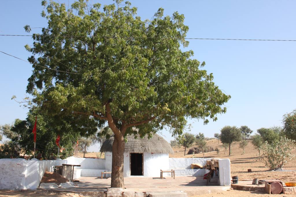 View of the Hut