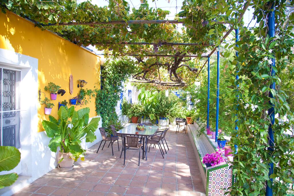 Terraza