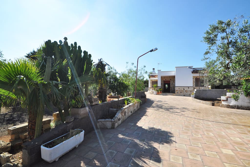 Giardino