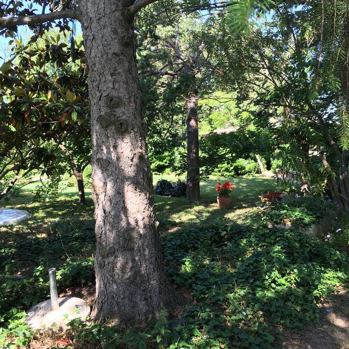 Jardin