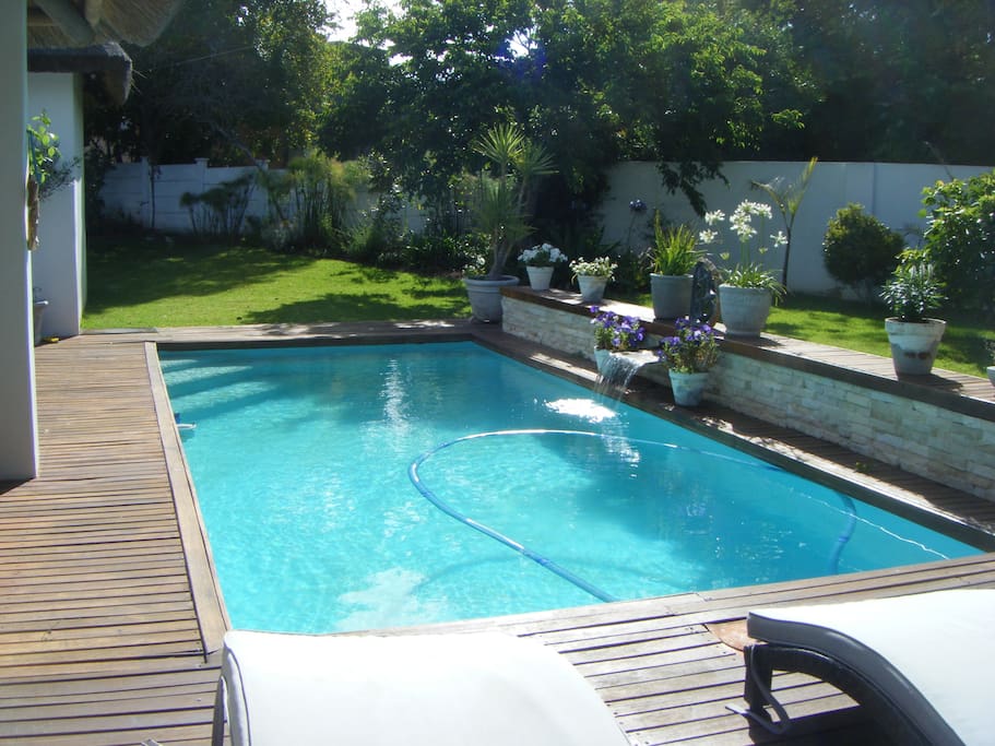 Beautiful pool with small water feature