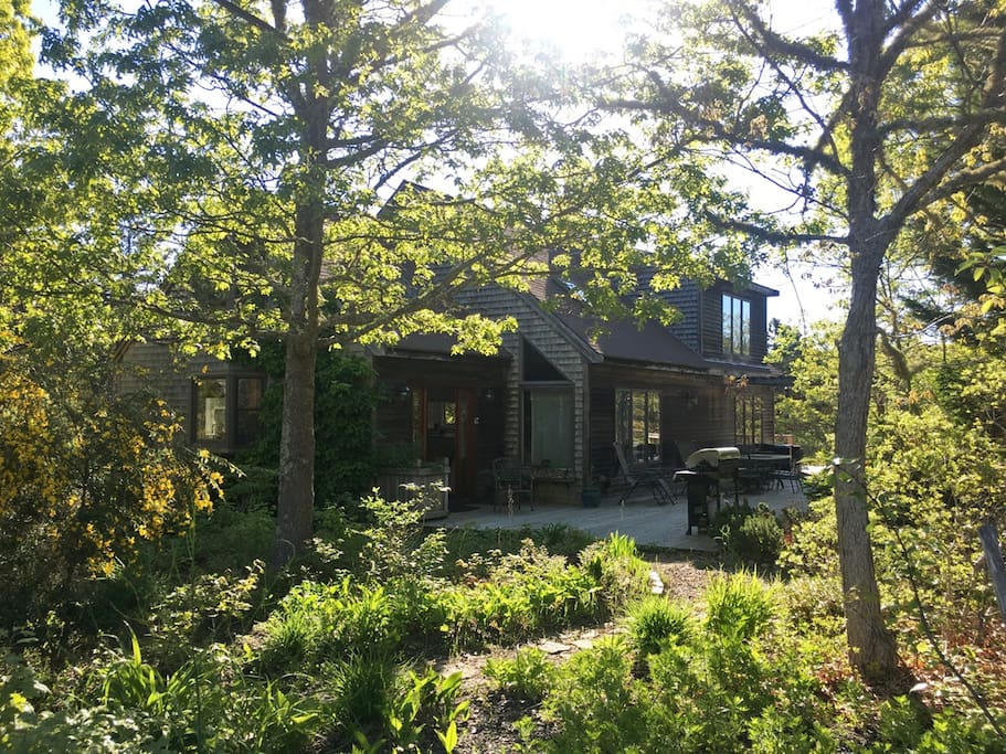 Nestled in the woodlands of the National Seashore with backyard access to Longnook Beach