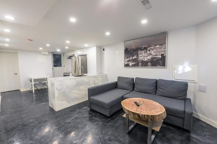 King West Triplex Lower Pvt Apt 1 Bdrm W Pullout - Toronto