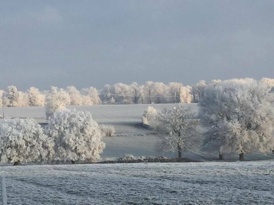 Vue du jardin en hiver