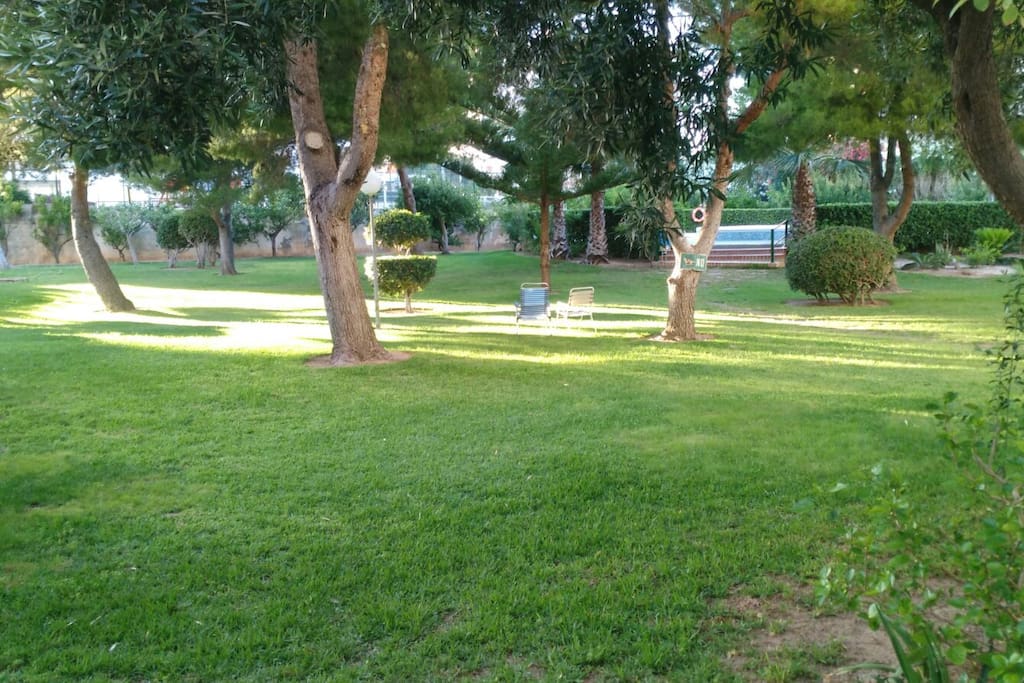 PINADA jardín de la comunidad(solarium)