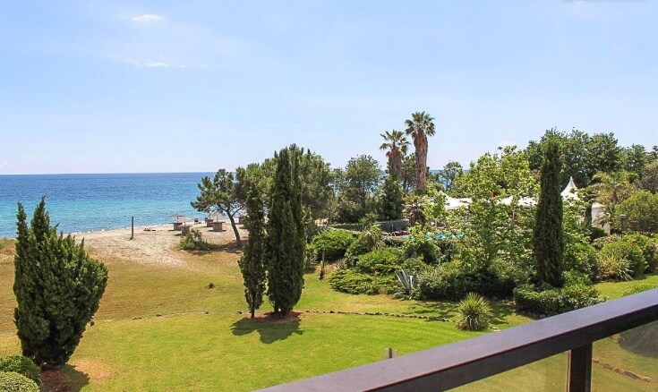 A scenic view showcases lush green vegetation leading to a sandy beach and tranquil blue ocean. Palm trees and shrubs frame the landscape, while a distant pool area is hinted at behind the greenery. The horizon blends the sea and sky seamlessly.