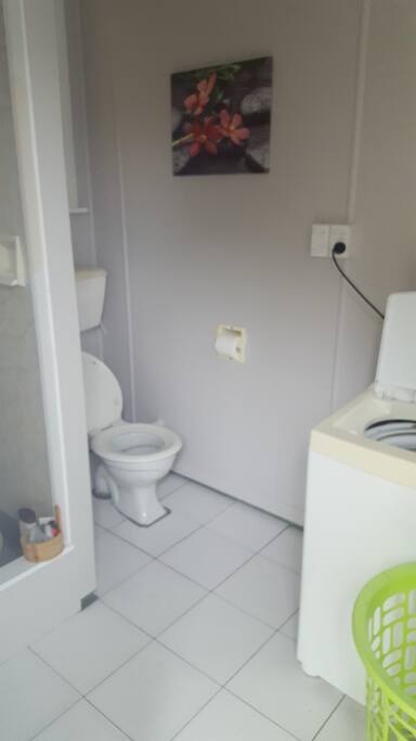 private bathroom with own shower toilet with laundry