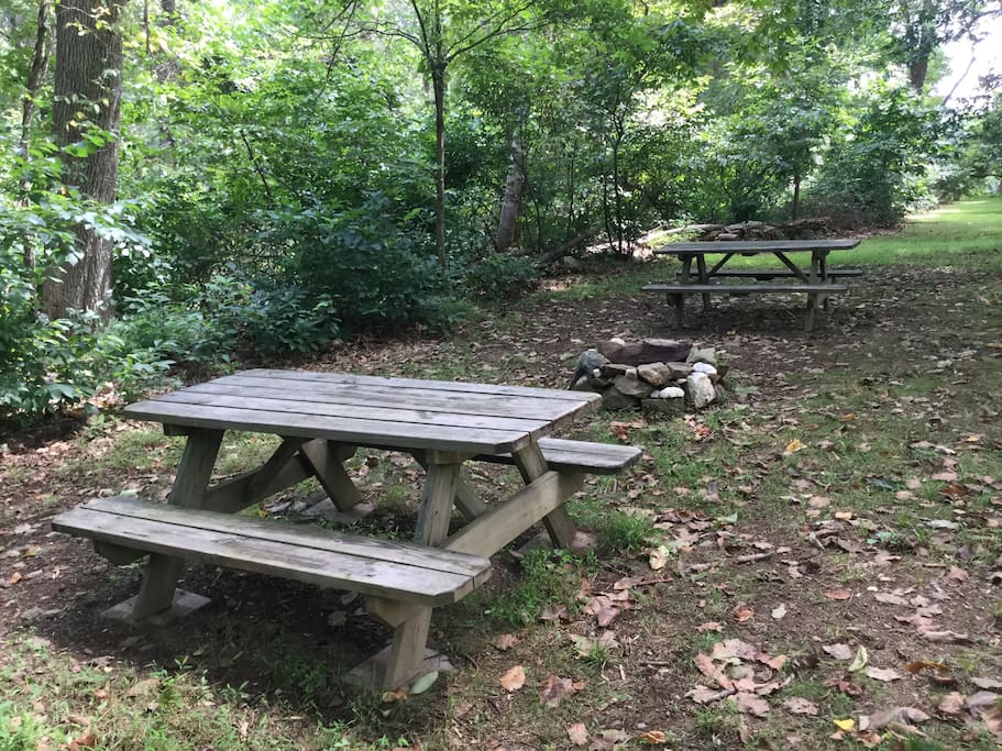 Picnic & Campfire Area