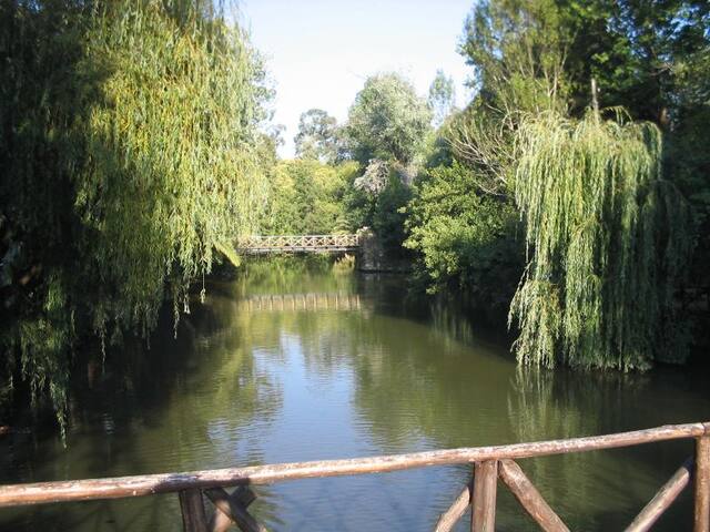 Graciete's Curia House