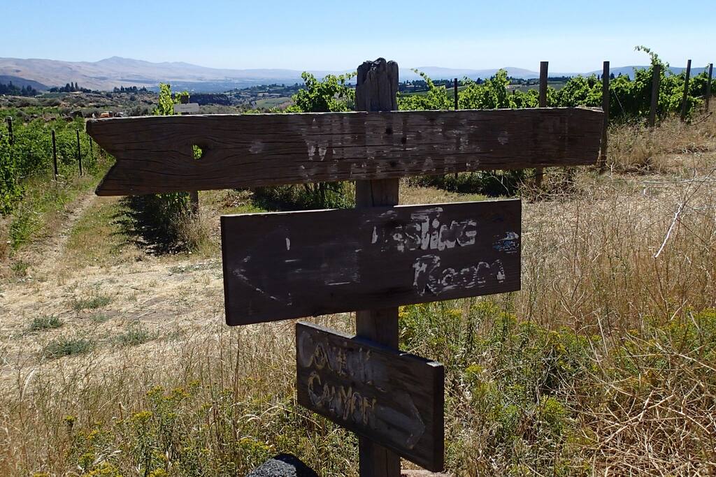 Trails at back of Vineyard
