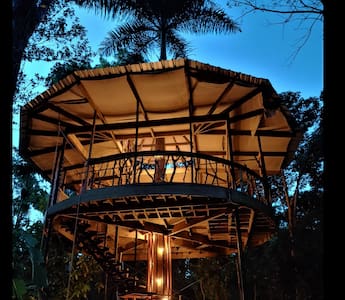 Treehouse of the Royal Palm