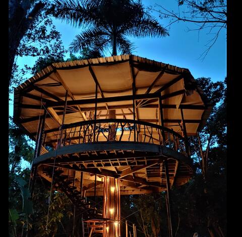Treehouse of the Royal Palm