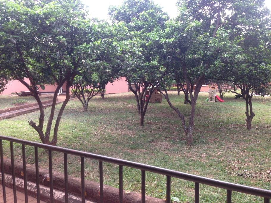 The view from the guest house/ backyard