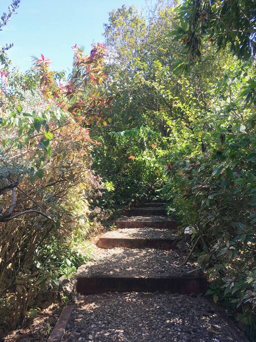Path way towards the house