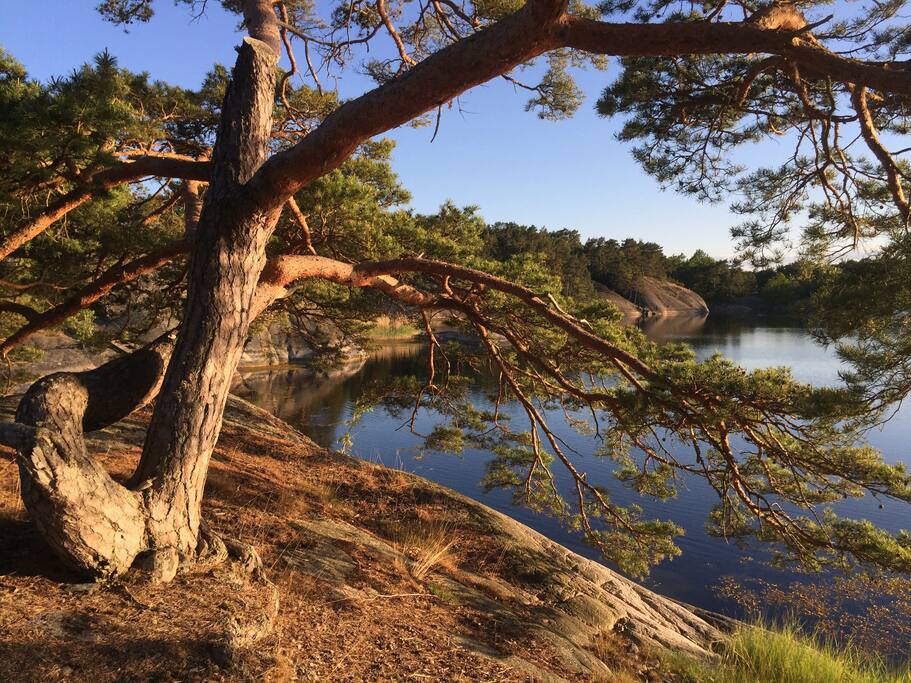 Genuin skärgårdsmiljö
