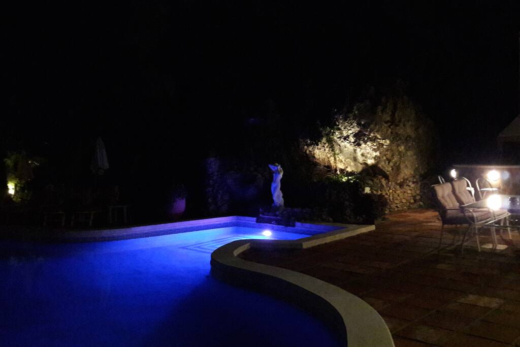 Shared pool at night