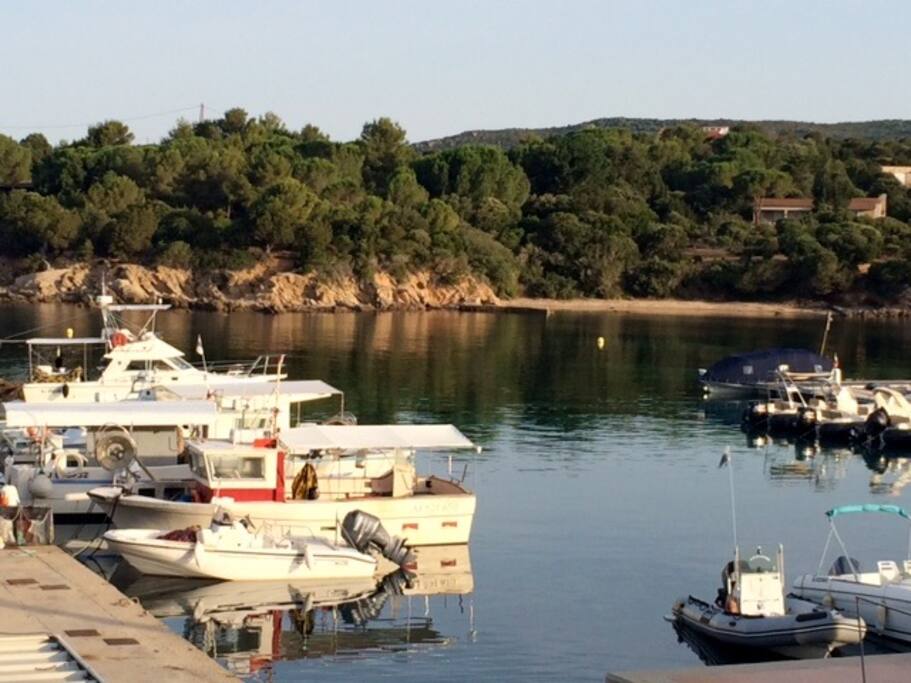Port de pêche de Tizzano