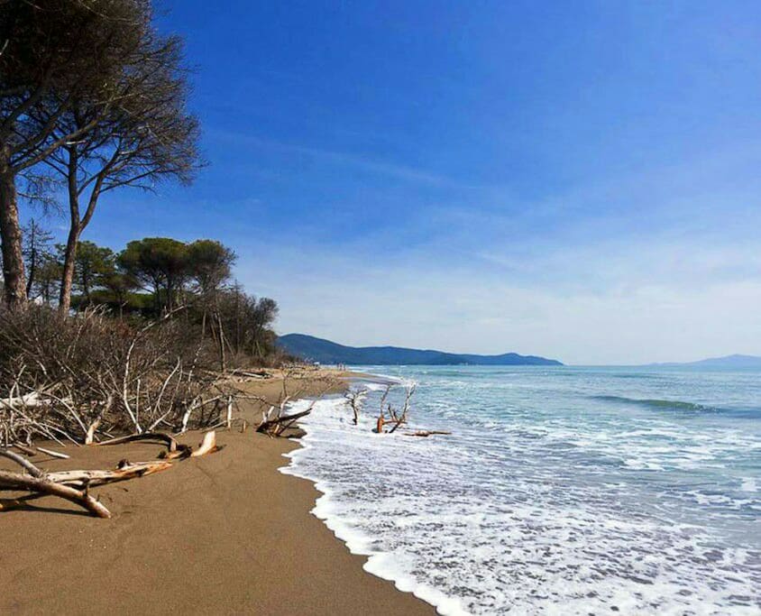 la splendida spiaggia e pineta di principina al mare!