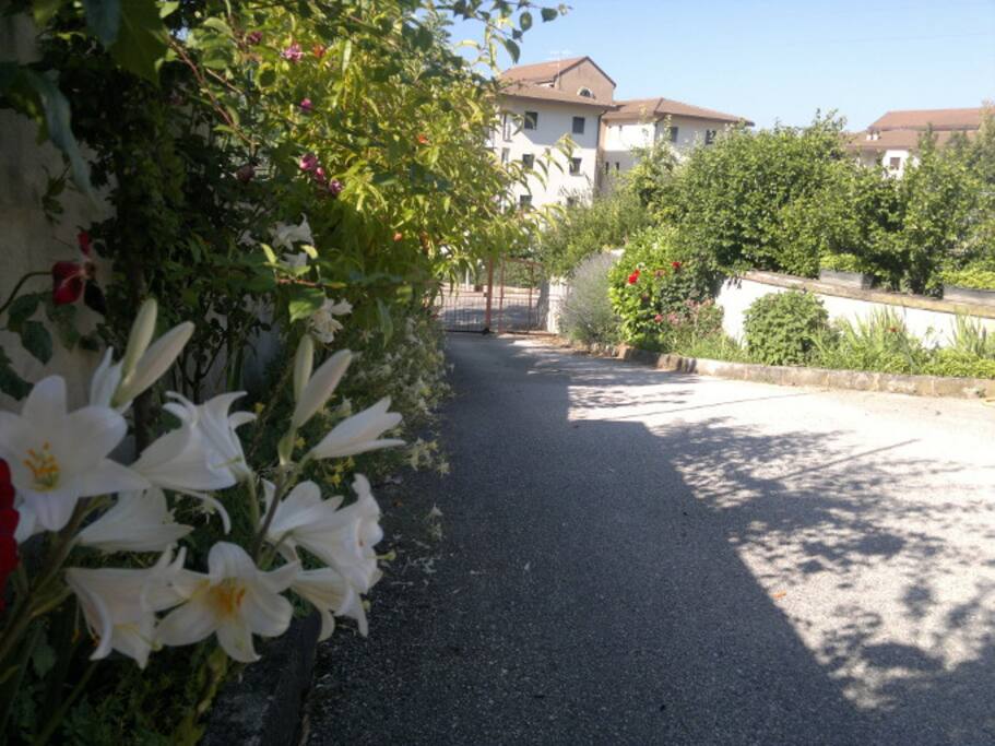 Il vialetto di ingresso