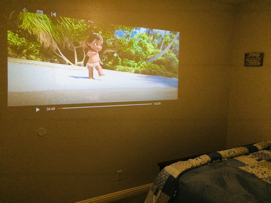 Over 100 inch Theater Experience with Netflix and Amazon Videos right in your room!
