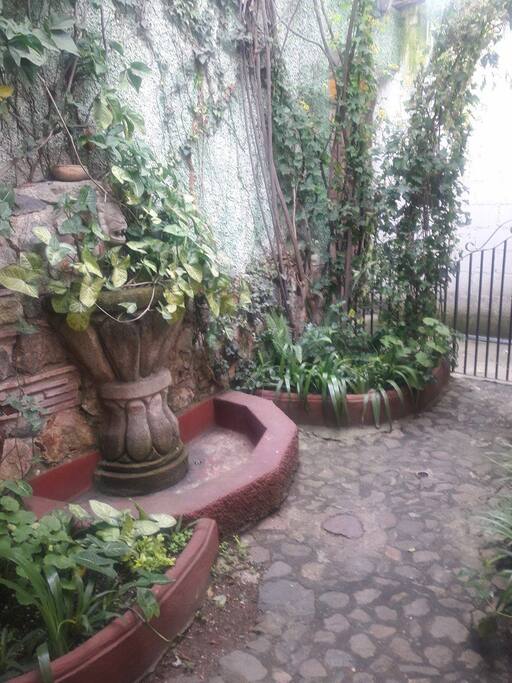 Jardin