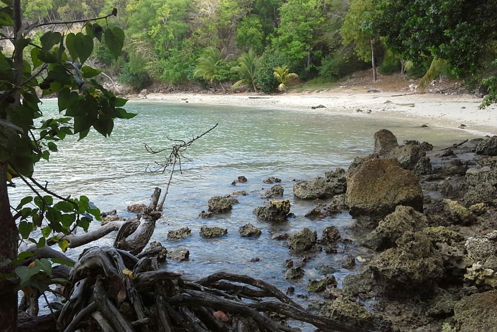 Petit plage discrete