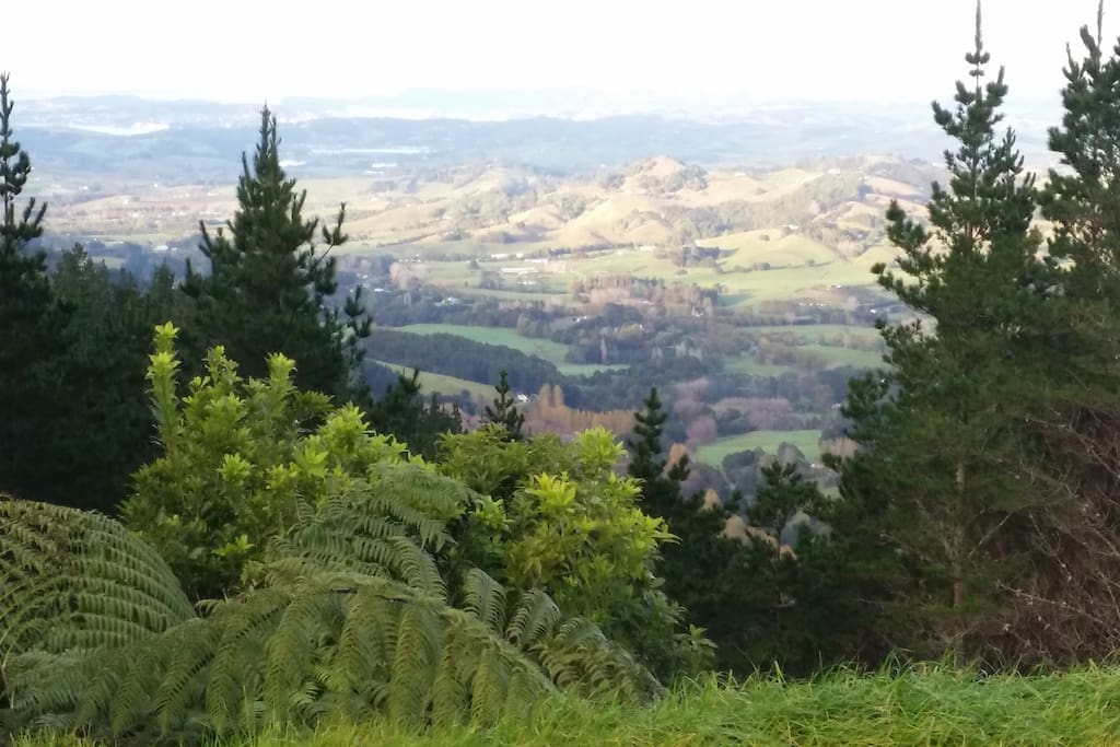 View to the south with Matakana in the foreground