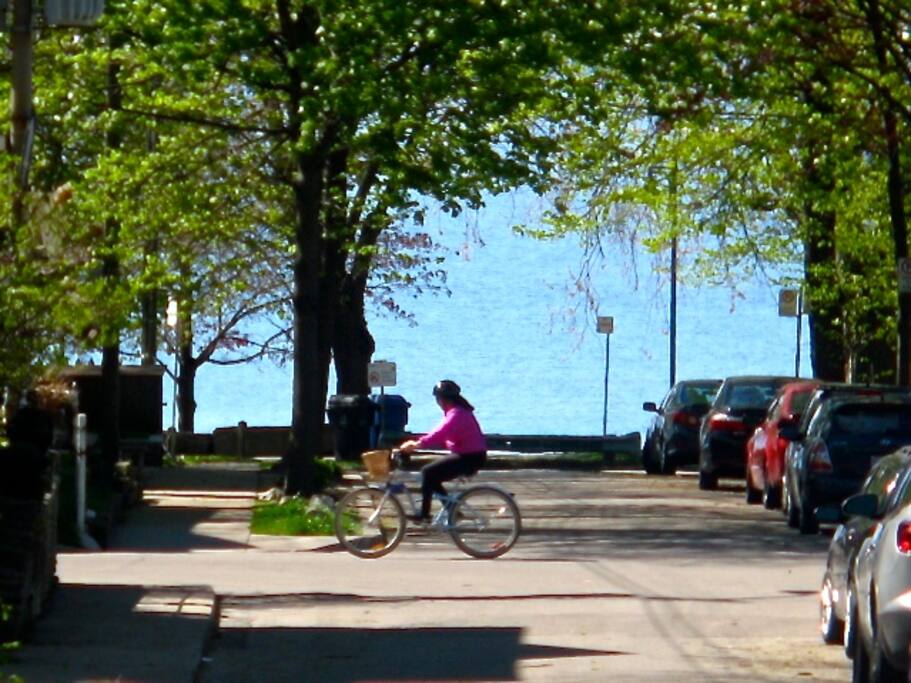 View of the lake when you walk out the door