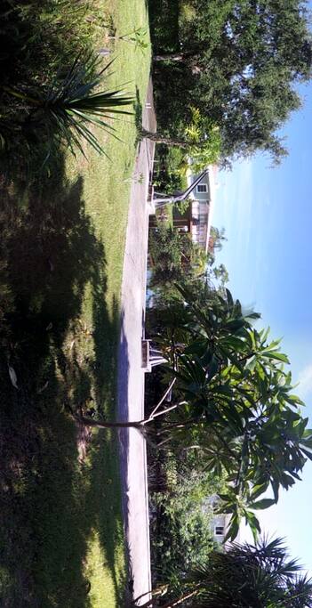 Back yard (SW side) on canal