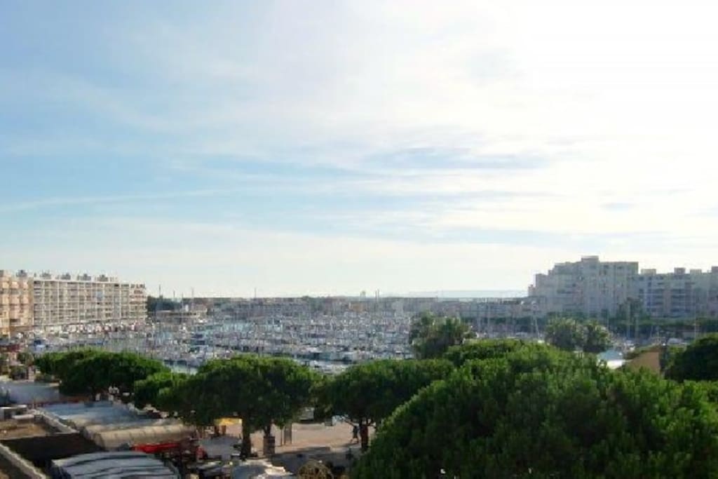 vue depuis la terrasse