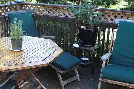 The Treehouse at Seagull's Nest.