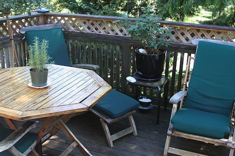 The Treehouse at Seagull's Nest.