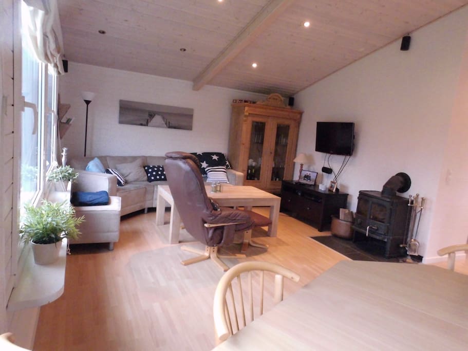 Living room with wood burning fire