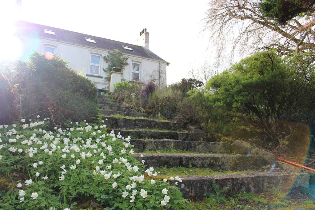 Go down the steps to the gardens