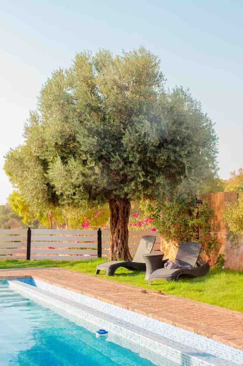 Countryside accommodation with heated pool and Gilboa view