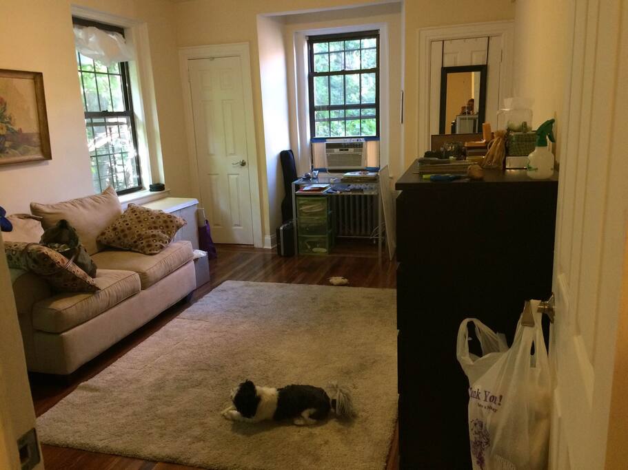 Three sunny windows in the living space. Love seat, desk with chair, closets and a VERY comfortable queen size bed.